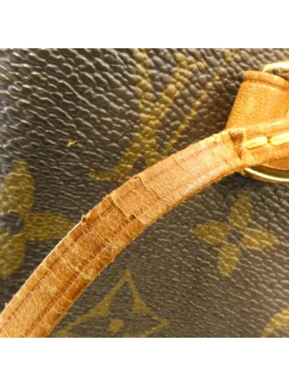 Louis Vuitton Monogram Neverfull PM Bag